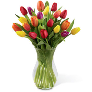 Tulips Arrangement
