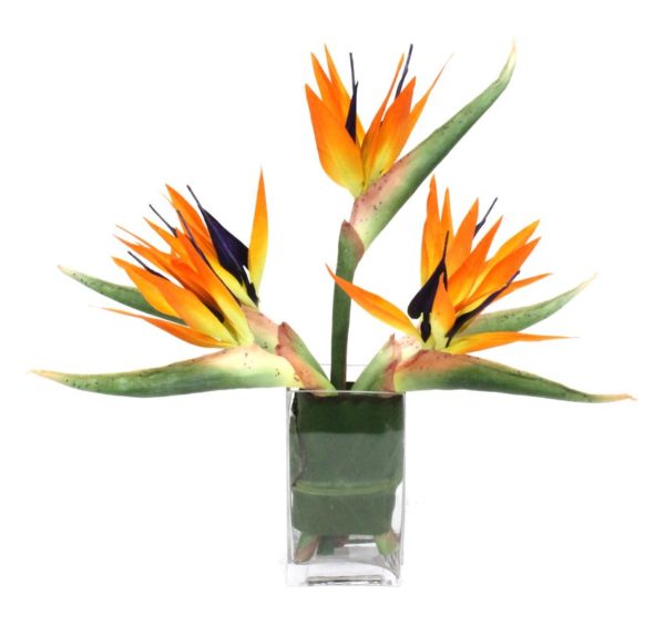 Bird of Paradise at Pike Place Flowers