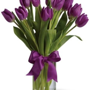 10 Purple Tulips