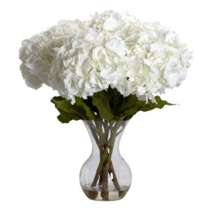 White Hydrangea