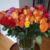 Assorted Color Roses 100 stems