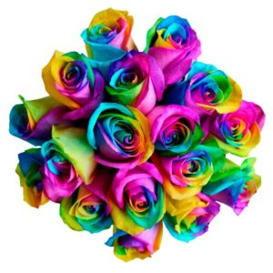 seattle-rainbow-roses