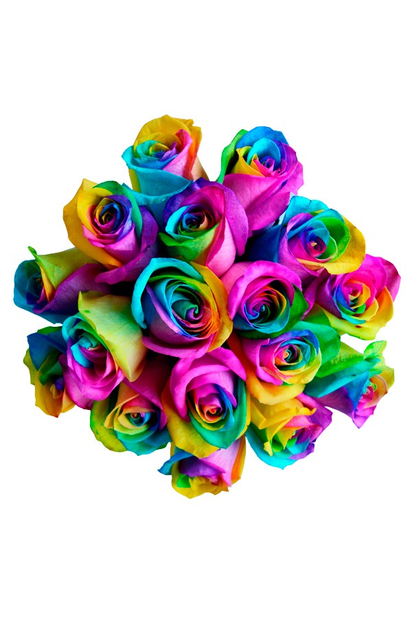 seattle-rainbow-roses