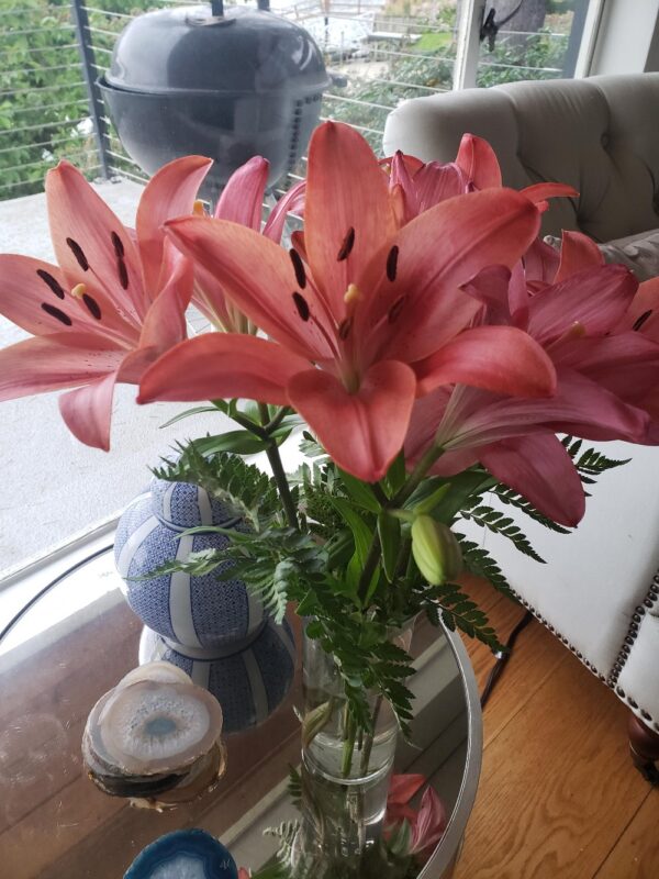 redAsiaticlilies