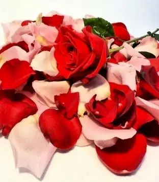 rosepetals