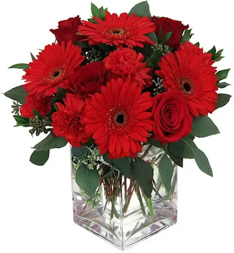 gerbera&rose