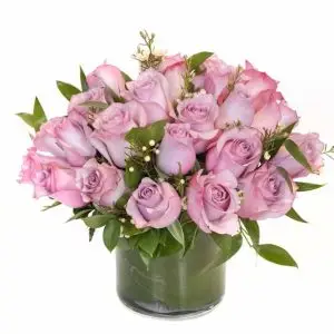 Purple Roses in low cylinder – 2 Dozen - Pike Place Flowers Seattle