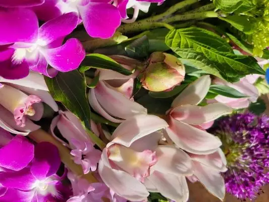 About Flowers - Pike Place Flowers Seattle