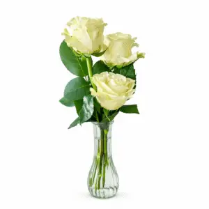 Three white roses in a clear glass budvase with greenery, designed by Pike Place Flowers in Seattle