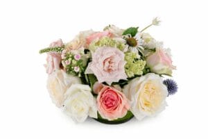 Pastel rose and hydrangea floral arrangement with pink, cream, and peach tones, photographed on a pure white background.